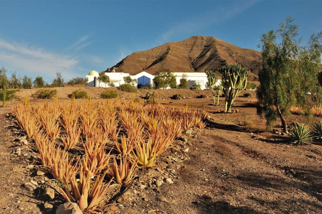 Romantica Fuego - Eco Retreat Finca Artis Tirma Tarajalejo Dış mekan fotoğraf